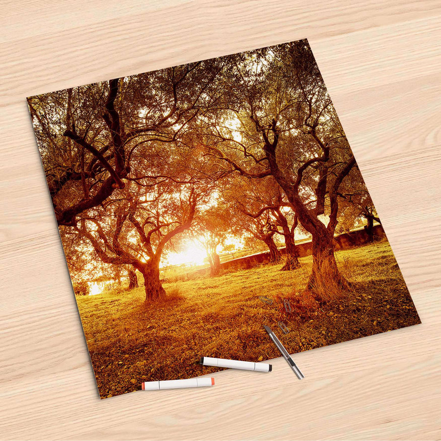 Folienbogen Tree Sunlight - 60x60 cm