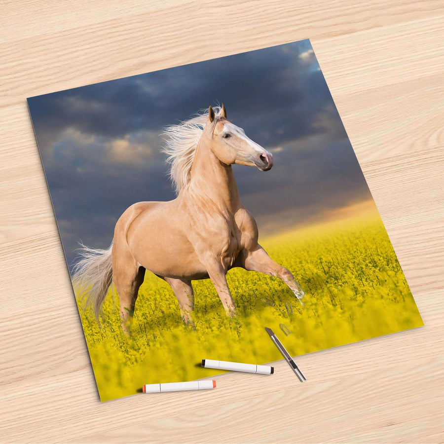 Folienbogen Wildpferd - 60x60 cm