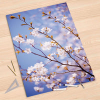 Folienbogen Apple Blossoms - 80x120 cm