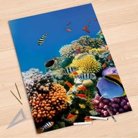 Folienbogen Coral Reef - 80x120 cm