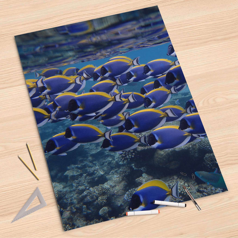 Folienbogen Fish swarm - 80x120 cm