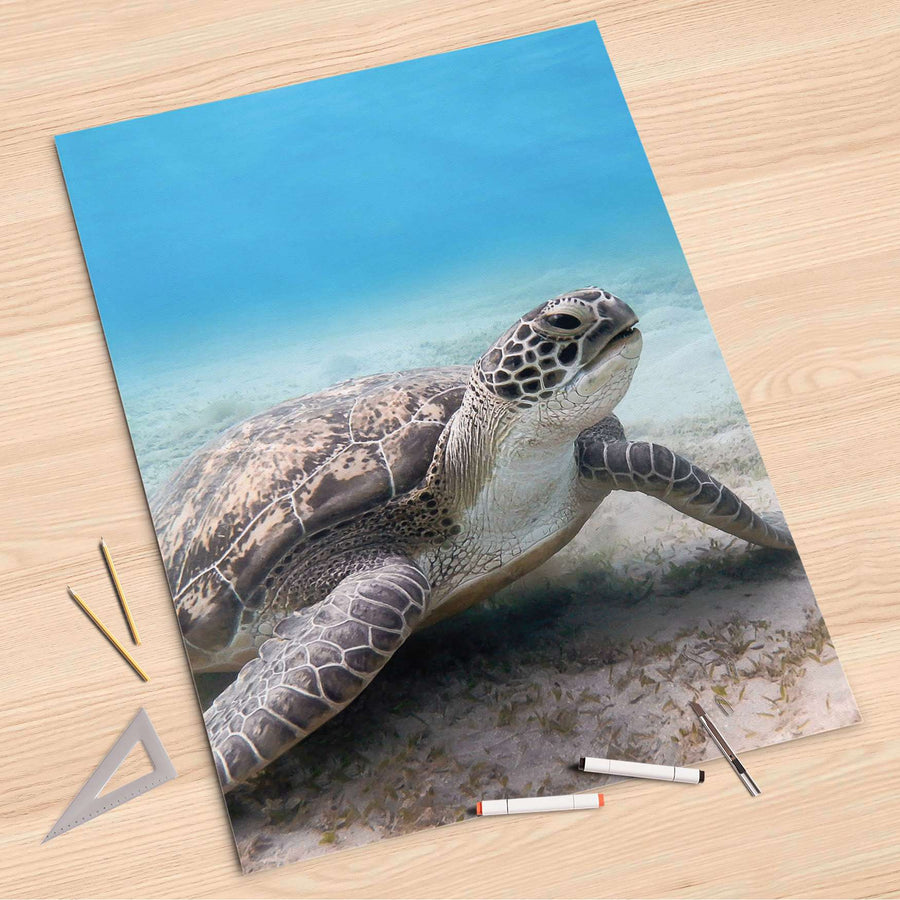 Folienbogen Green Sea Turtle - 80x120 cm