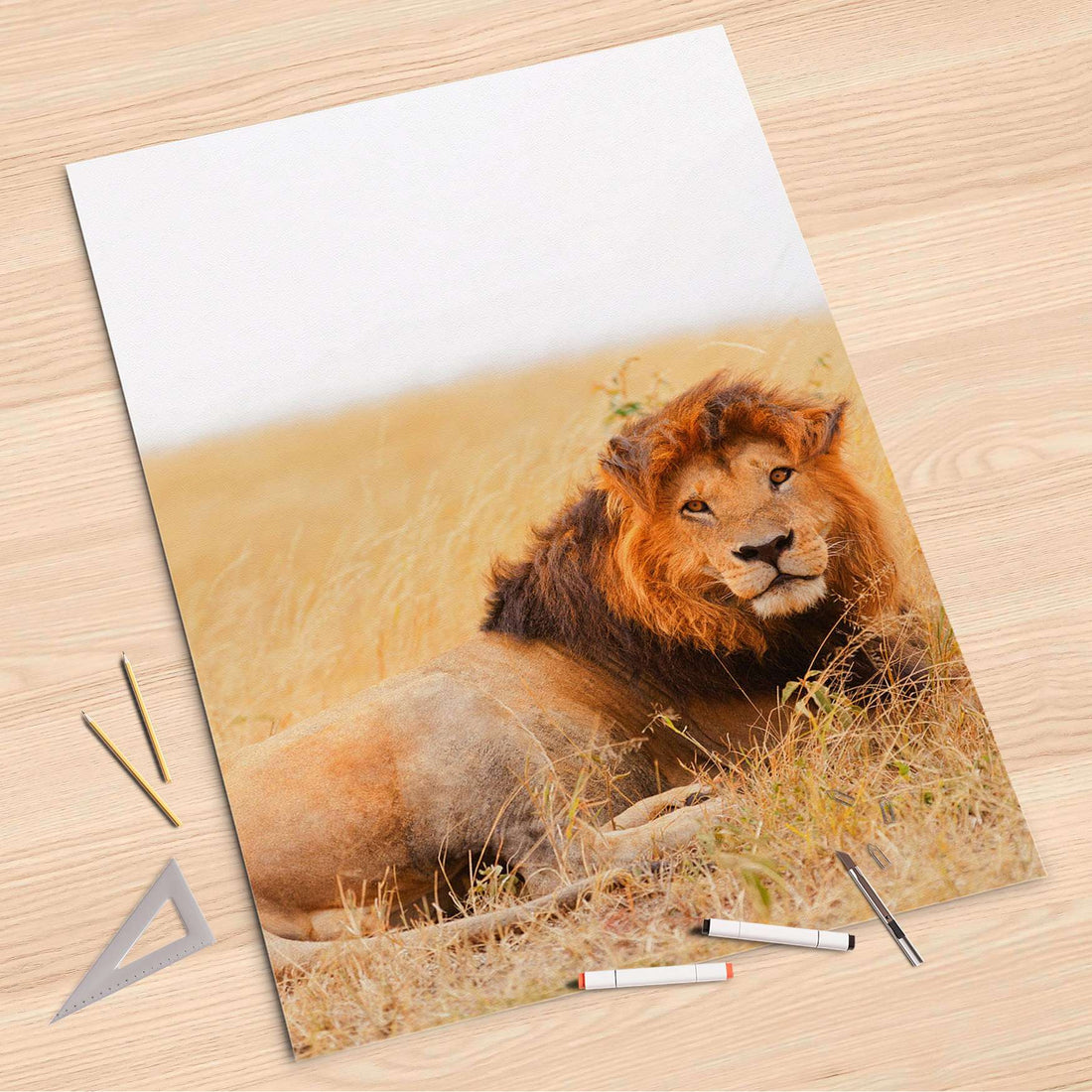 Folienbogen Lion King - 80x120 cm
