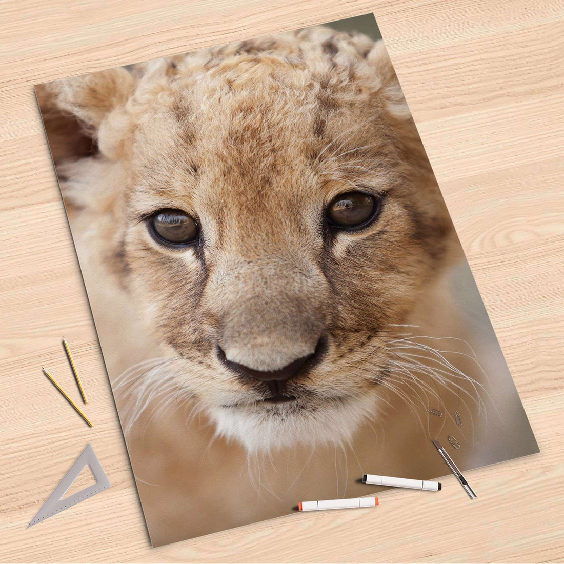 Folienbogen Simba - 80x120 cm