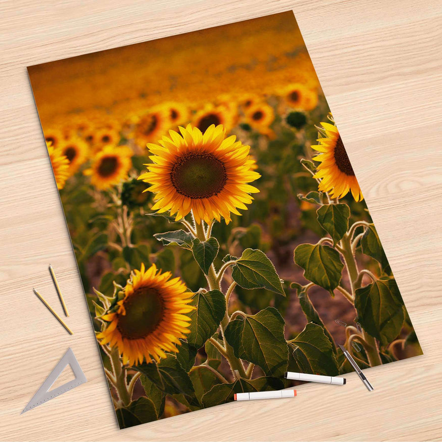 Folienbogen Sunflowers - 80x120 cm
