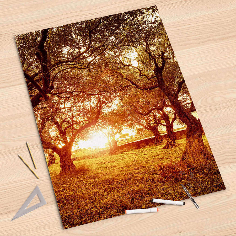 Folienbogen Tree Sunlight - 80x120 cm