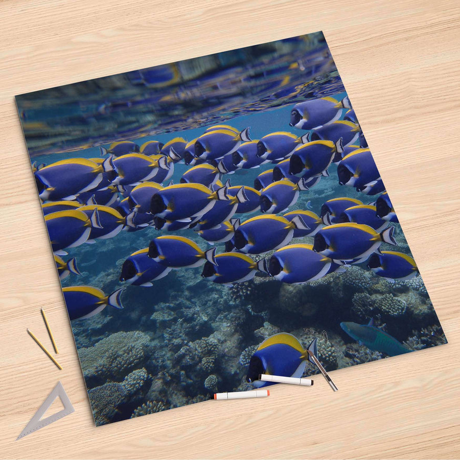 Folienbogen Fish swarm - 90x90 cm