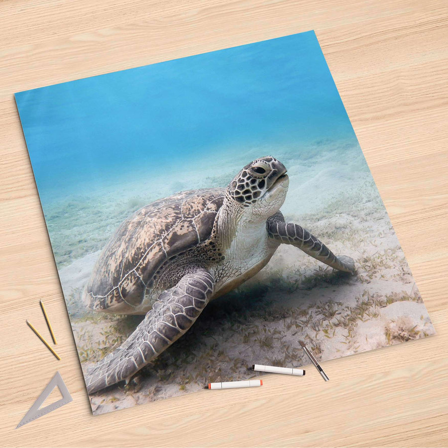 Folienbogen Green Sea Turtle - 90x90 cm