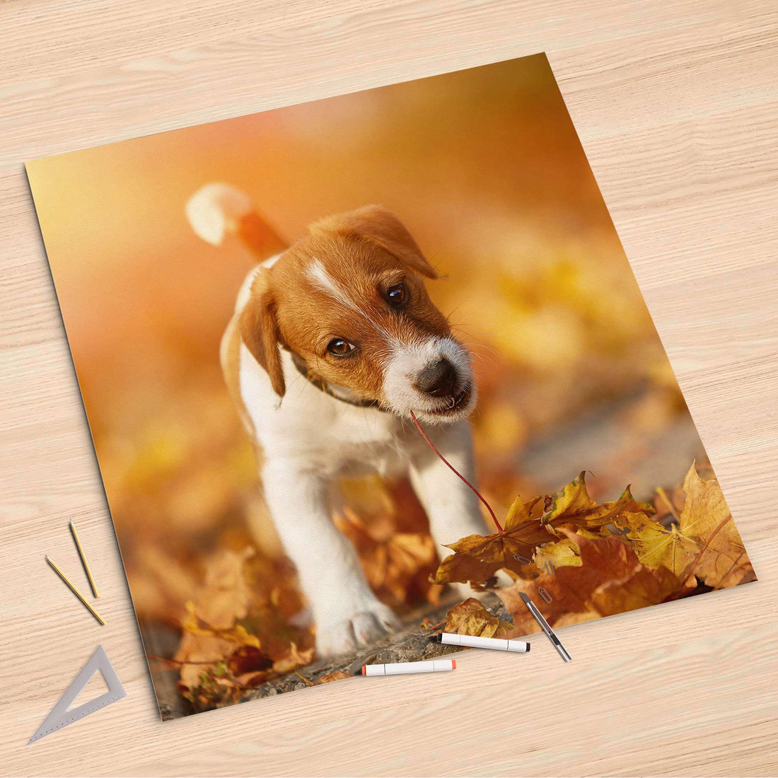 Folienbogen Jack the Puppy - 90x90 cm