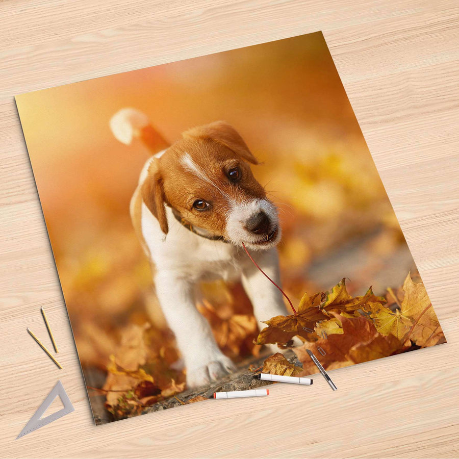 Folienbogen Jack the Puppy - 90x90 cm