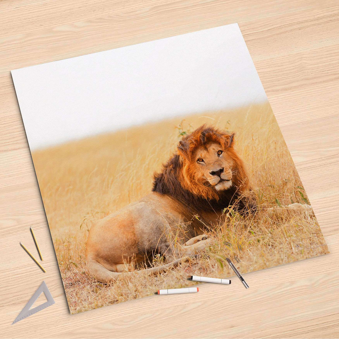 Folienbogen Lion King - 90x90 cm