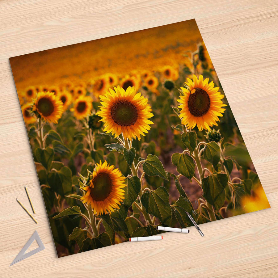 Folienbogen Sunflowers - 90x90 cm