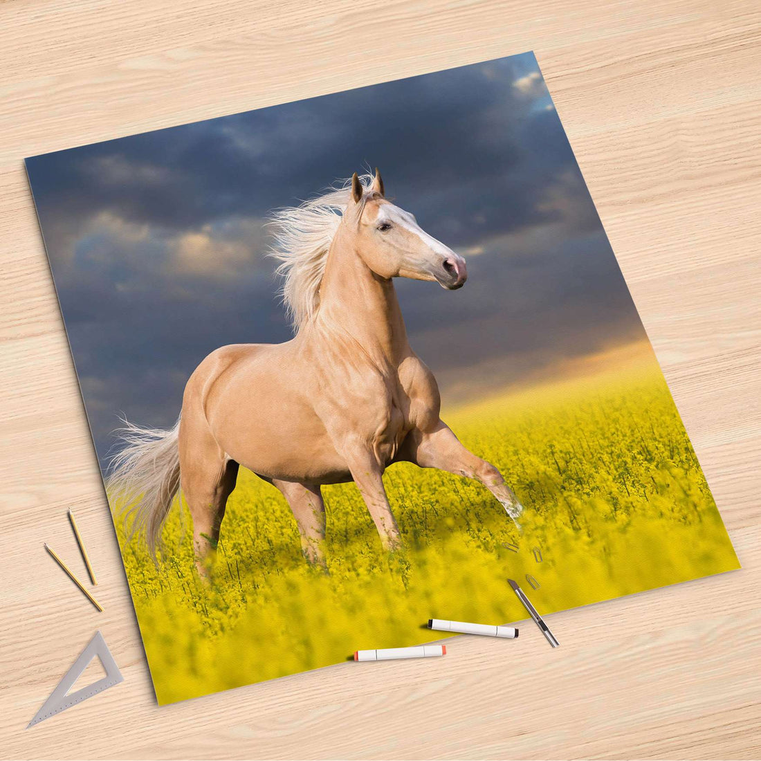 Folienbogen Wildpferd - 90x90 cm