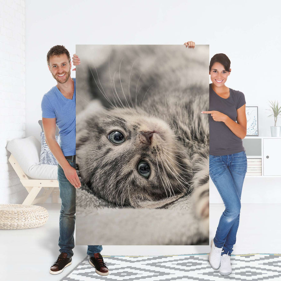 Selbstklebender Folienbogen Kitty the Cat - Größe: 100x150 cm