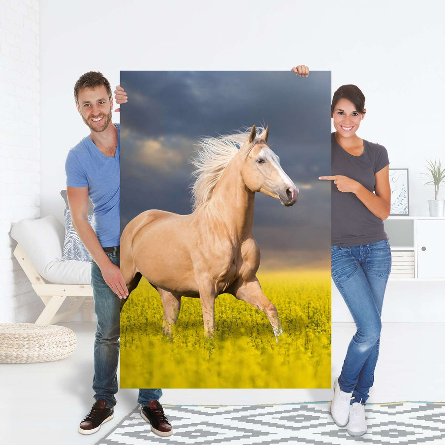 Selbstklebender Folienbogen Wildpferd - Größe: 100x150 cm