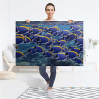 Selbstklebender Folienbogen Fish swarm - Größe: 120x80 cm