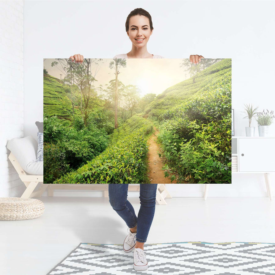 Selbstklebender Folienbogen Green Tea Fields - Größe: 120x80 cm