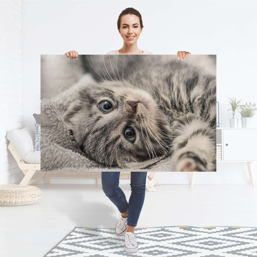 Selbstklebender Folienbogen Kitty the Cat - Größe: 120x80 cm