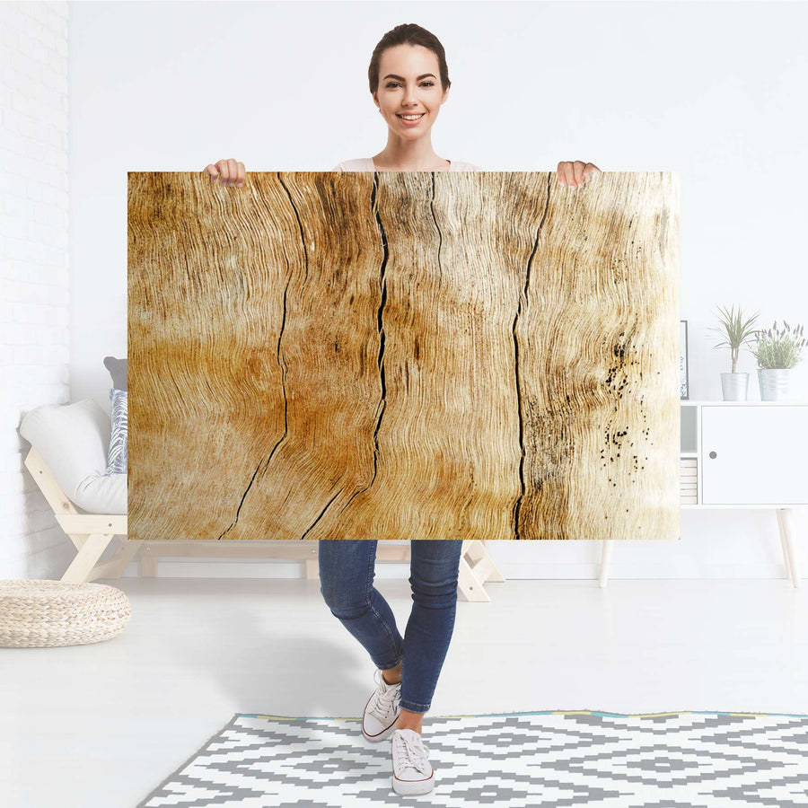 Selbstklebender Folienbogen Unterholz - Größe: 120x80 cm