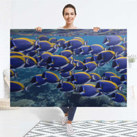 Selbstklebender Folienbogen Fish swarm - Größe: 150x100 cm