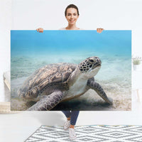 Selbstklebender Folienbogen Green Sea Turtle - Größe: 150x100 cm