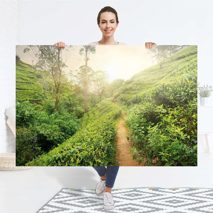 Selbstklebender Folienbogen Green Tea Fields - Größe: 150x100 cm