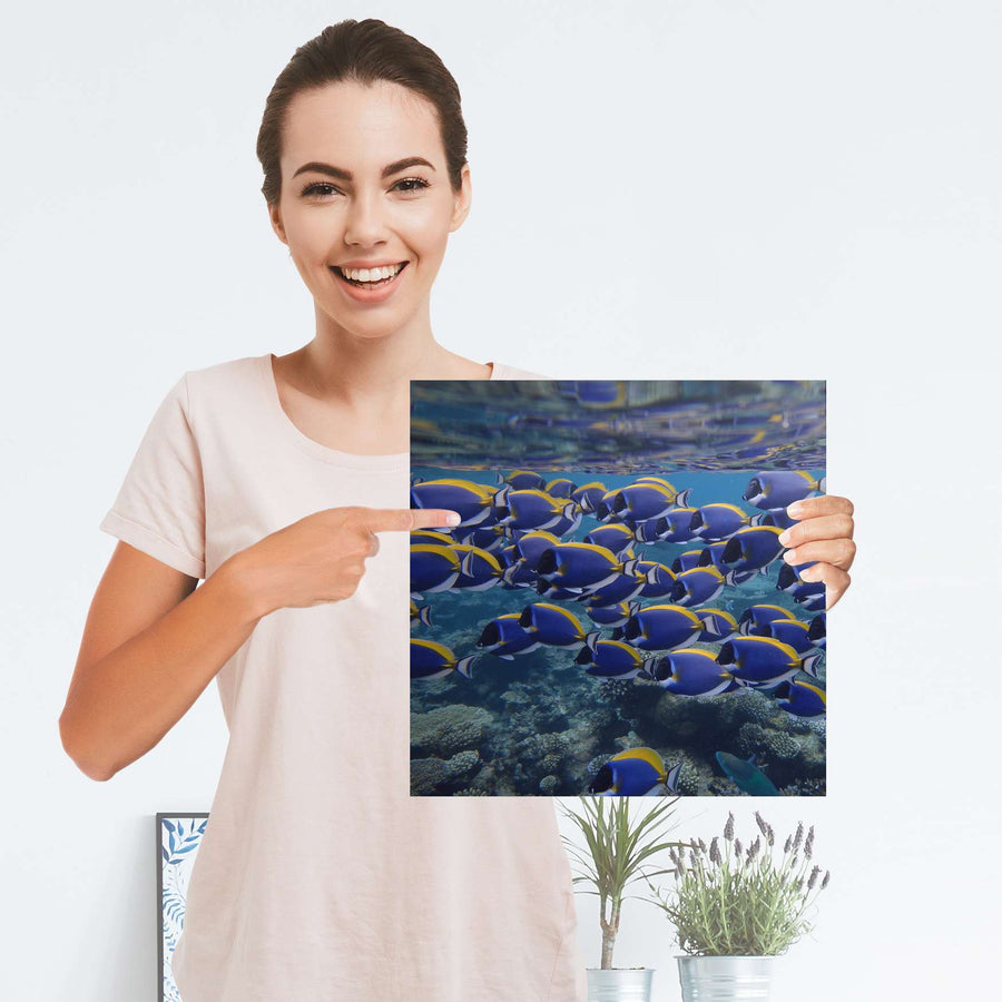 Selbstklebender Folienbogen Fish swarm - Größe: 30x30 cm