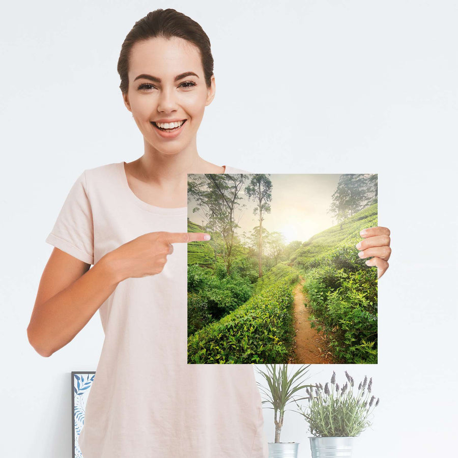 Selbstklebender Folienbogen Green Tea Fields - Größe: 30x30 cm
