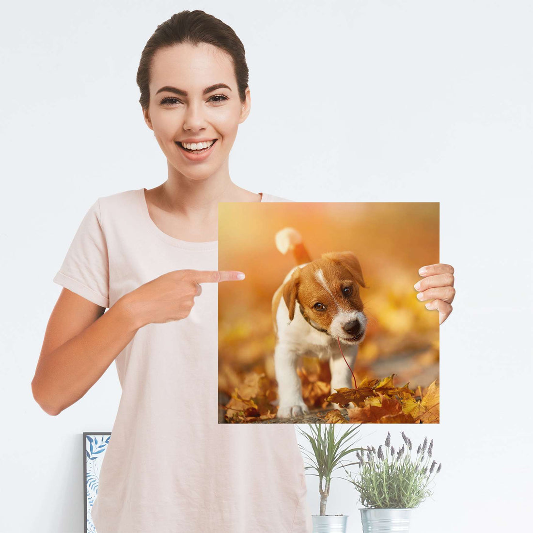 Selbstklebender Folienbogen Jack the Puppy - Größe: 30x30 cm