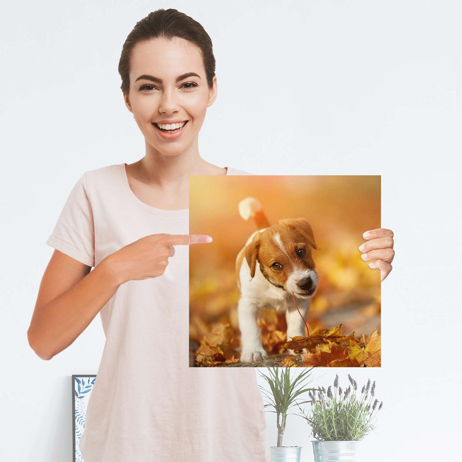Selbstklebender Folienbogen Jack the Puppy - Größe: 30x30 cm