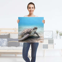 Selbstklebender Folienbogen Green Sea Turtle - Größe: 60x60 cm