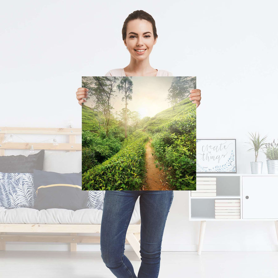 Selbstklebender Folienbogen Green Tea Fields - Größe: 60x60 cm