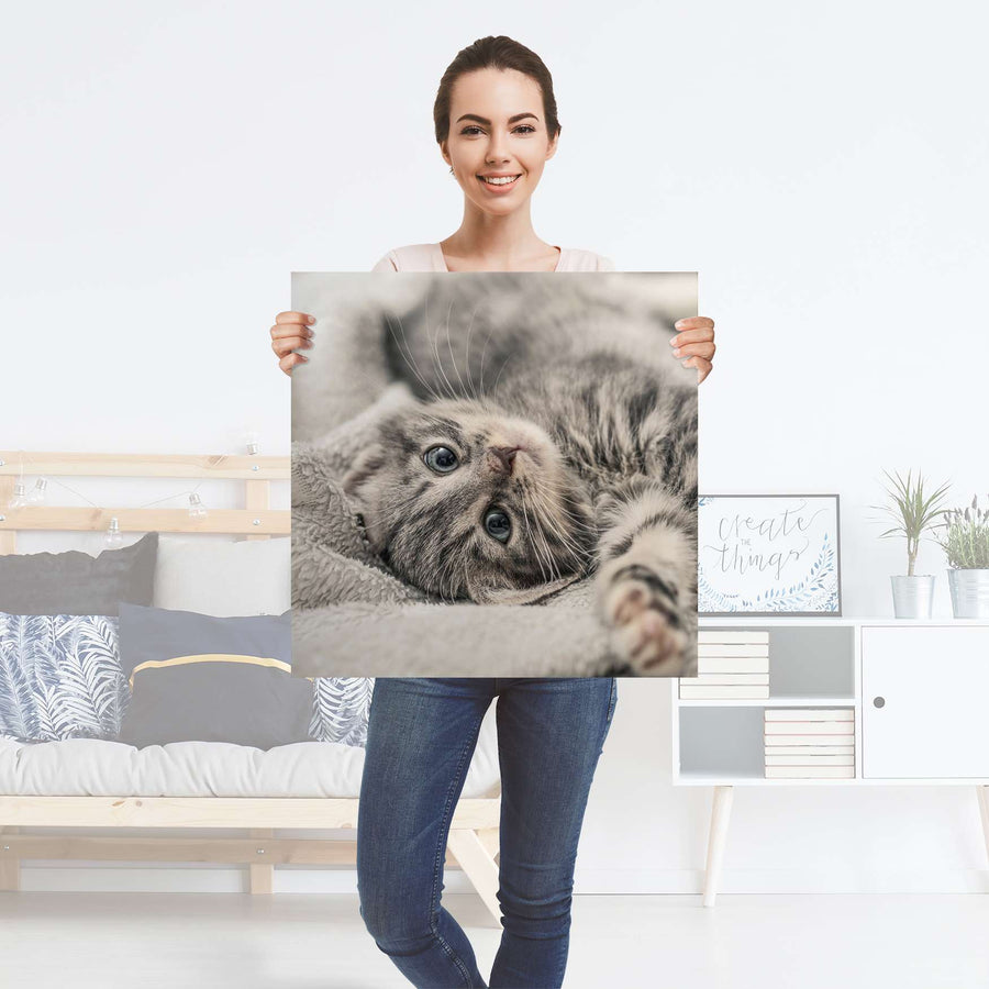 Selbstklebender Folienbogen Kitty the Cat - Größe: 60x60 cm