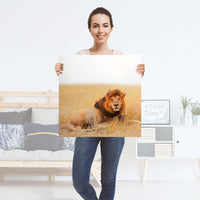 Selbstklebender Folienbogen Lion King - Größe: 60x60 cm