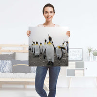 Selbstklebender Folienbogen Penguin Family - Größe: 60x60 cm