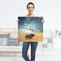 Selbstklebender Folienbogen Rhino - Größe: 60x60 cm