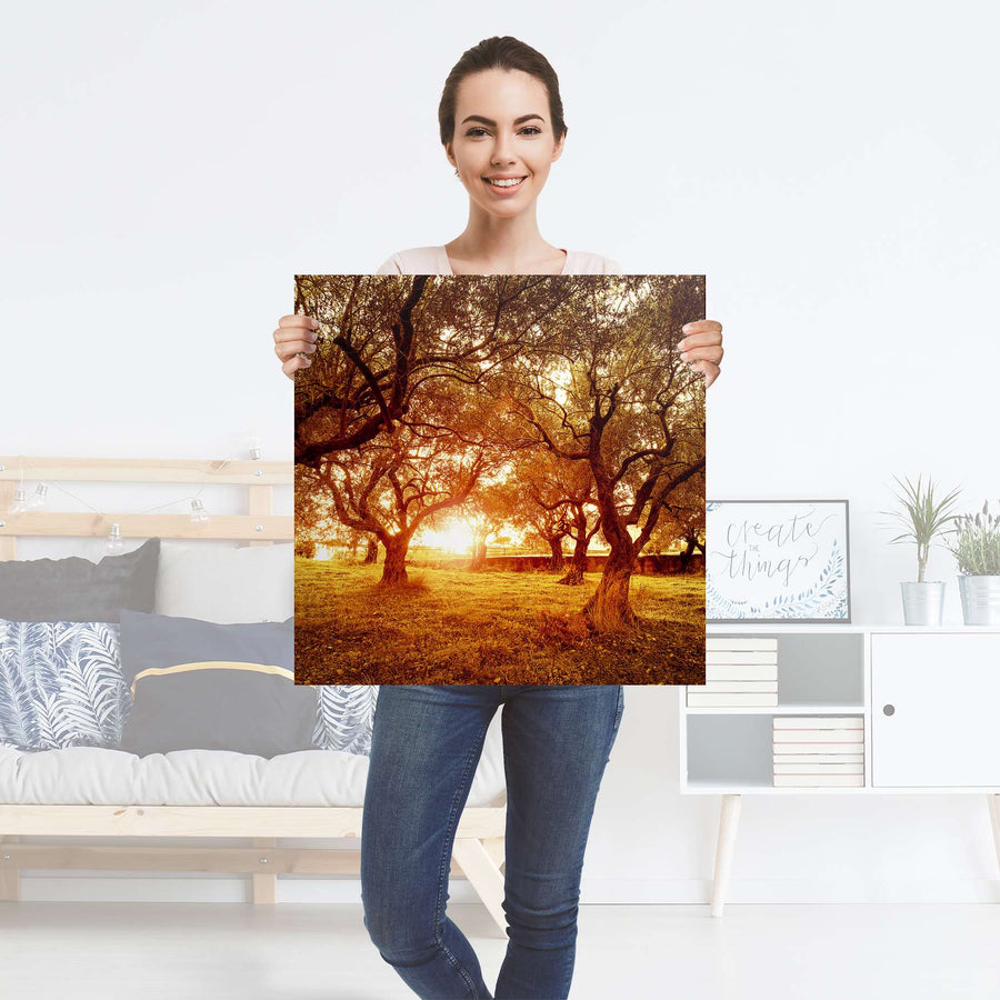 Selbstklebender Folienbogen Tree Sunlight - Größe: 60x60 cm
