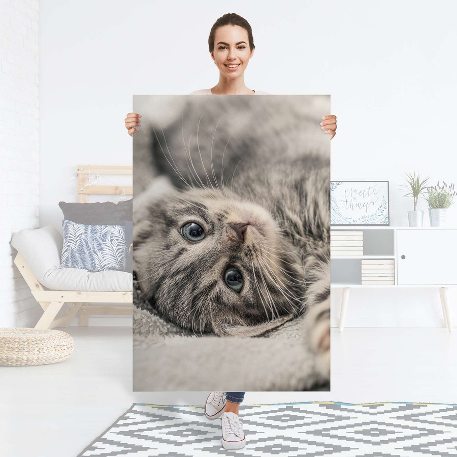 Selbstklebender Folienbogen Kitty the Cat - Größe: 80x120 cm