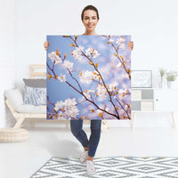 Selbstklebender Folienbogen Apple Blossoms - Größe: 90x90 cm