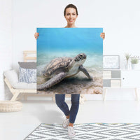 Selbstklebender Folienbogen Green Sea Turtle - Größe: 90x90 cm