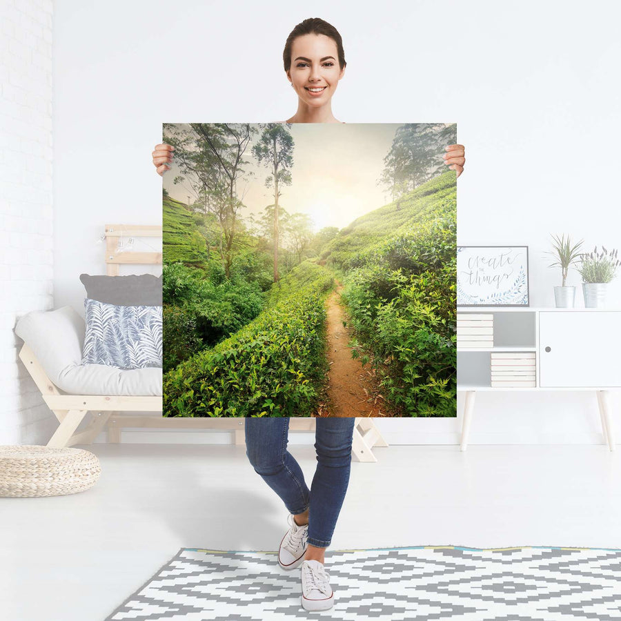 Selbstklebender Folienbogen Green Tea Fields - Größe: 90x90 cm