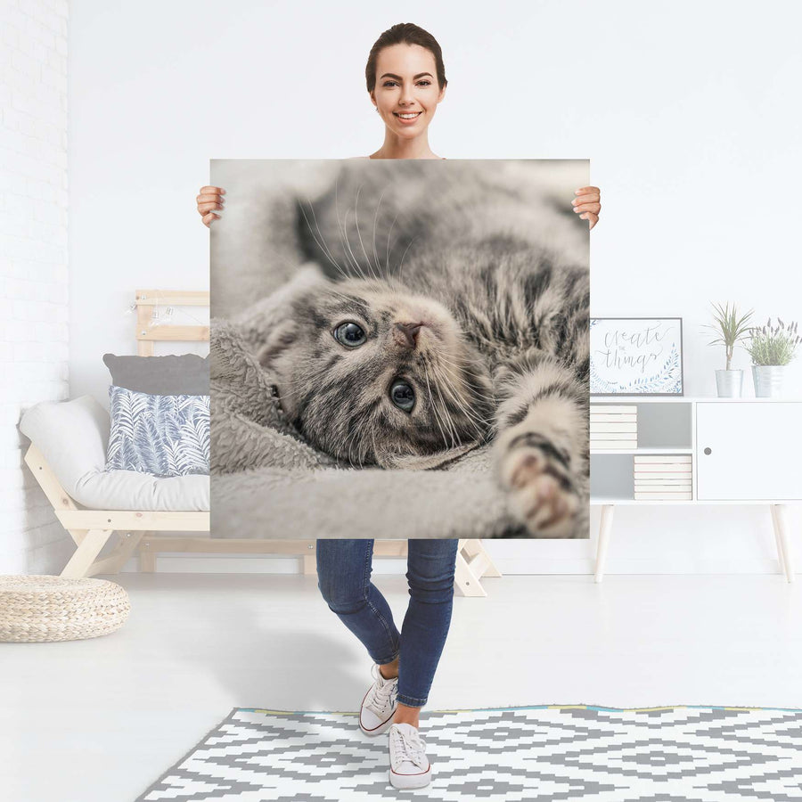 Selbstklebender Folienbogen Kitty the Cat - Größe: 90x90 cm