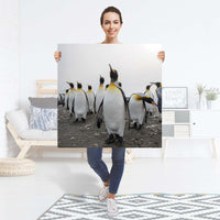 Selbstklebender Folienbogen Penguin Family - Größe: 90x90 cm