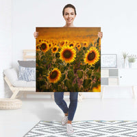 Selbstklebender Folienbogen Sunflowers - Größe: 90x90 cm