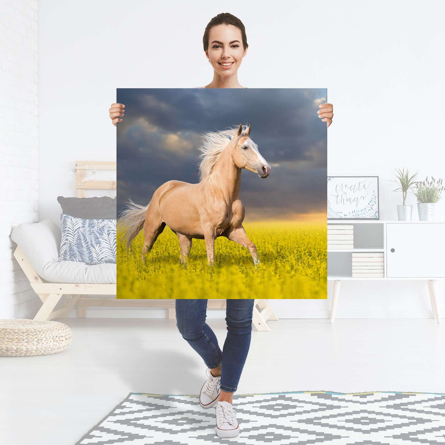 Selbstklebender Folienbogen Wildpferd - Größe: 90x90 cm