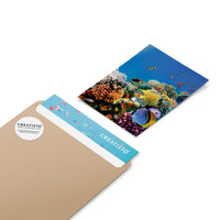 Klebefliesen Coral Reef - Paket - creatisto pds2