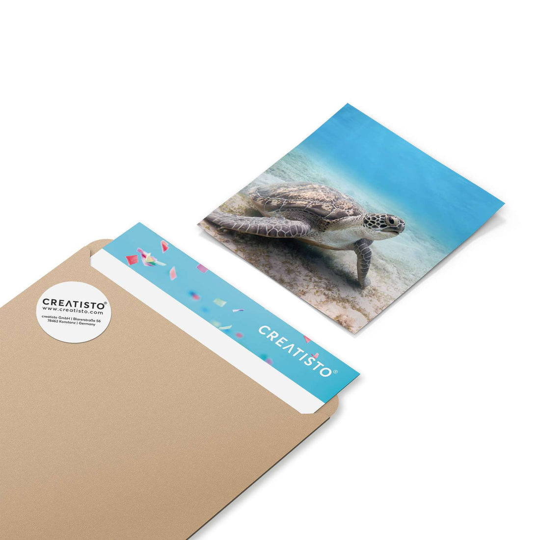 Klebefliesen Green Sea Turtle - Paket - creatisto pds2