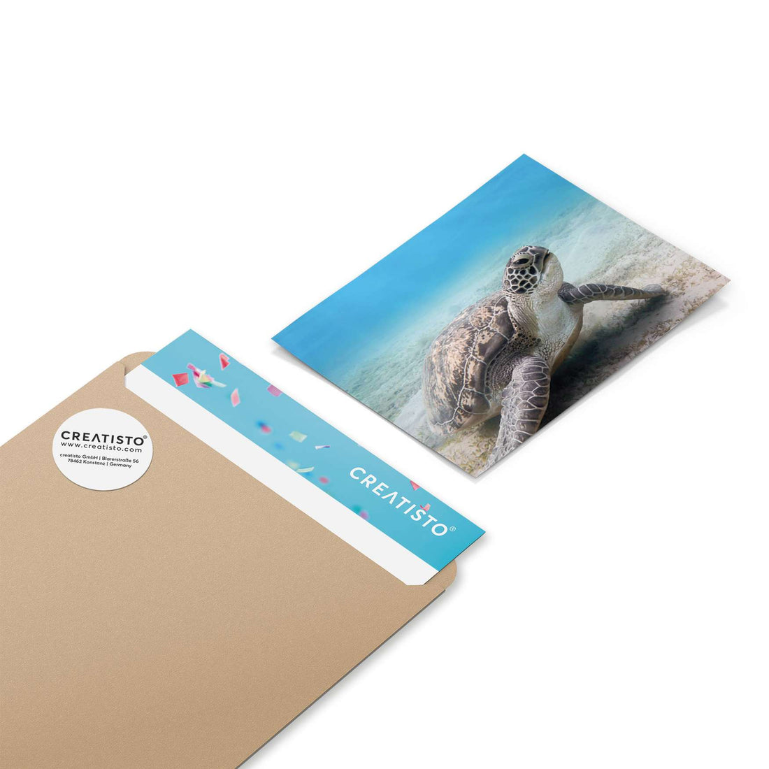 Klebefliesen Green Sea Turtle - Paket - creatisto pds2