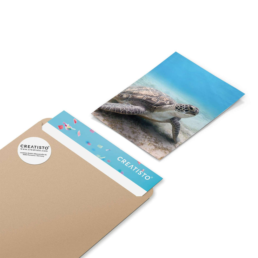 Klebefliesen Green Sea Turtle - Paket - creatisto pds2
