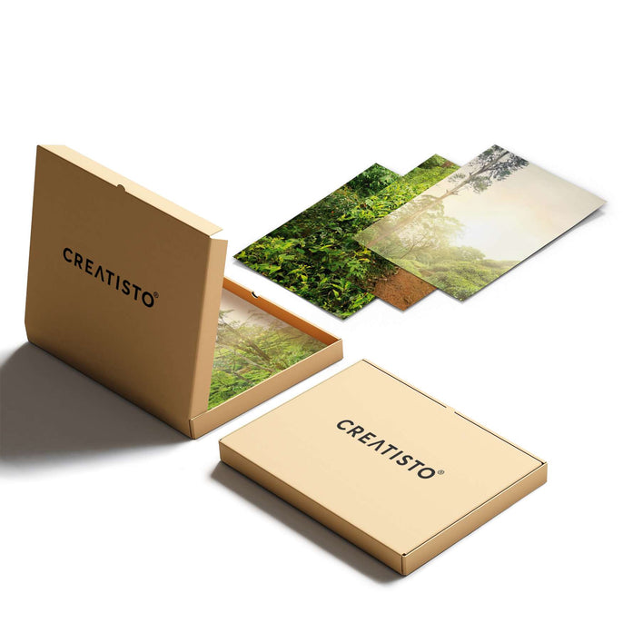 Klebefliesen Green Tea Fields - Paket - creatisto pds2